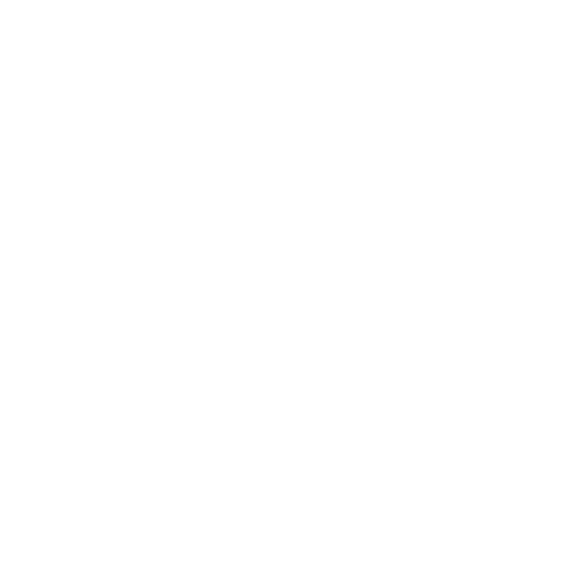 Data Icon